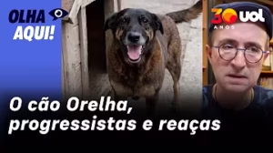 No pavoroso caso do cão Orelha, progressistas fazem o esperado. E os reaças?